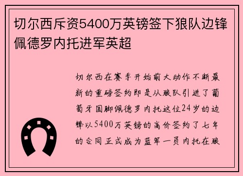 切尔西斥资5400万英镑签下狼队边锋佩德罗内托进军英超